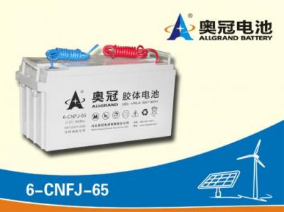 ag九游会j9登录蓄电池6-CNFJ-65