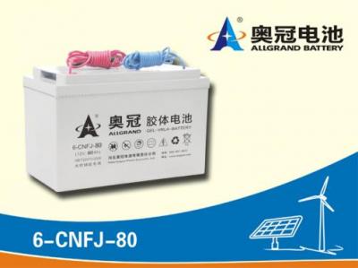 ag九游会j9登录蓄电池6-CNFJ-80